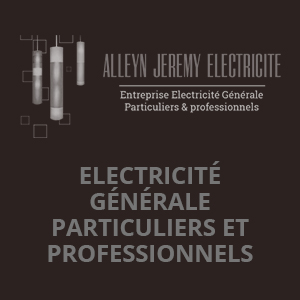 Référence - Alleyn Electricite